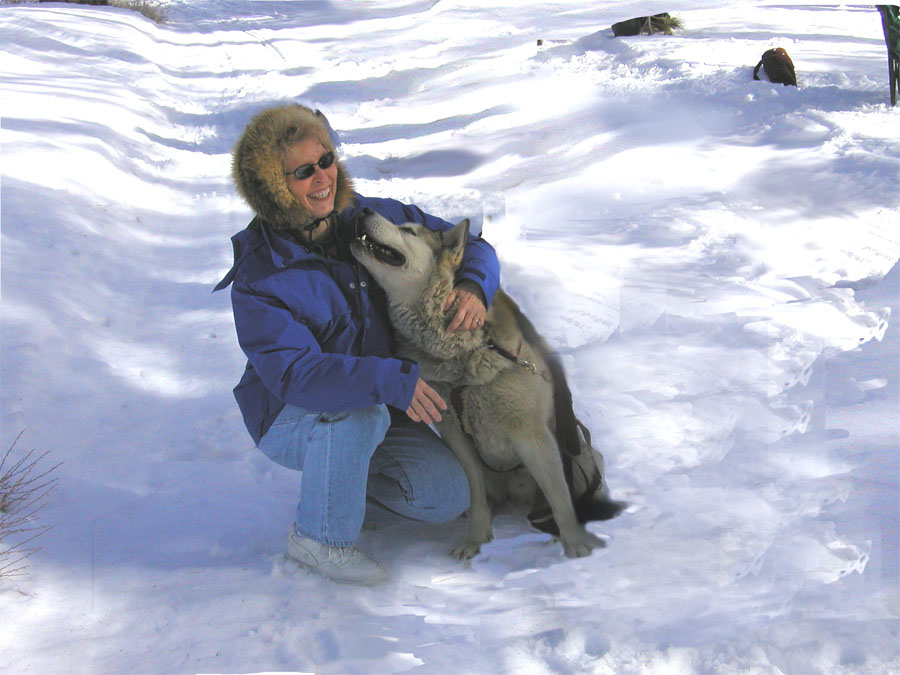 Judy with sled dog